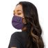 FREED X POINTEBRUSH MALTESE CROSS MAKER MASK