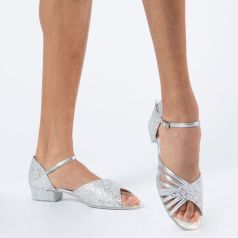 SILVER SEQUINS