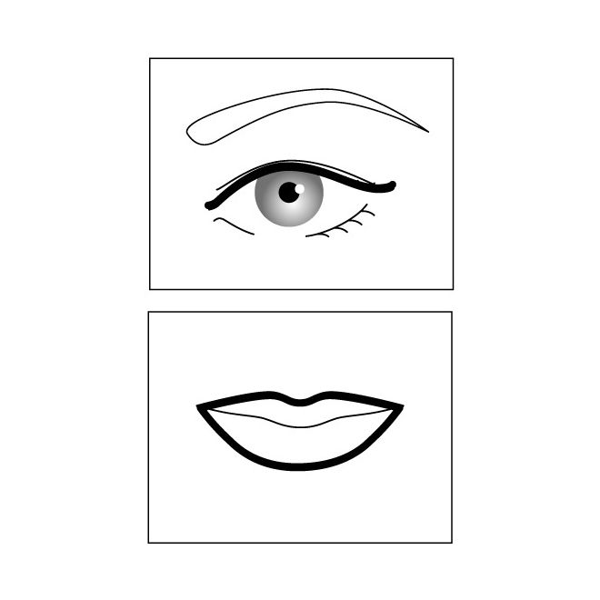 COLOR LINER PENCIL