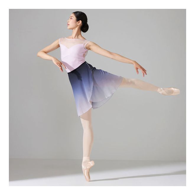 NELA MESH CAP SLEEVED LEOTARD