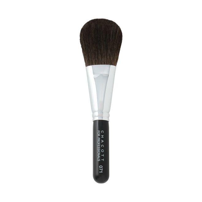 POWDER BRUSH